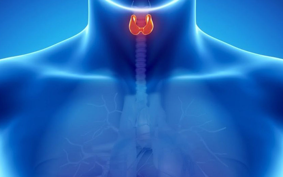 Cirurgia da Tireoide – Como é e Indicações