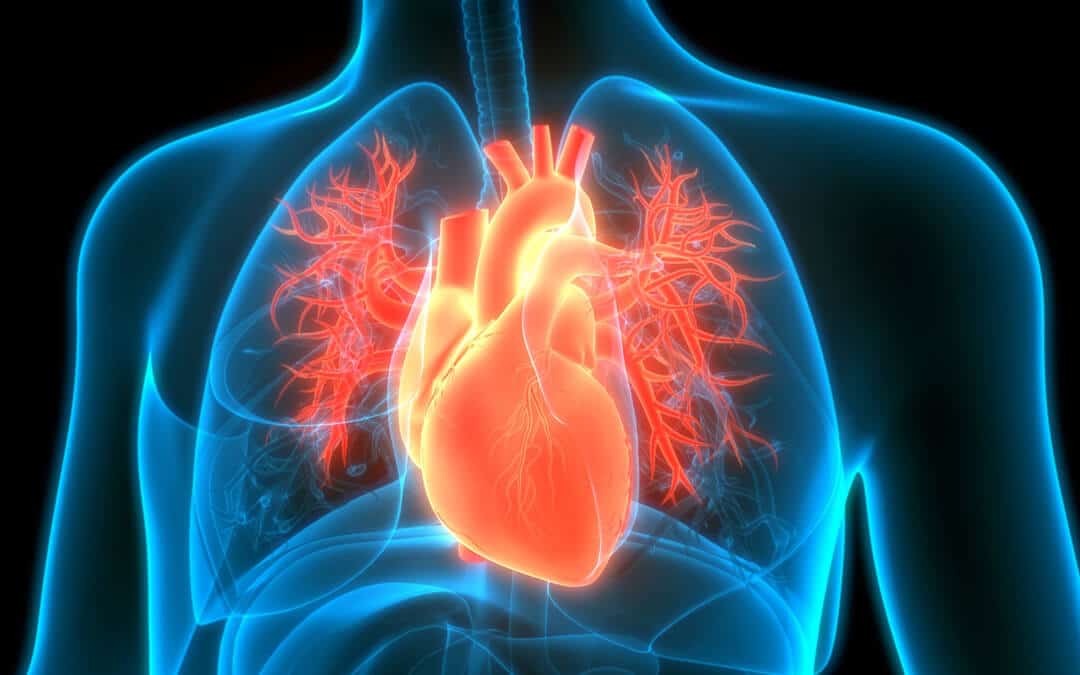 Alteração na Tireoide e Doenças do Coração